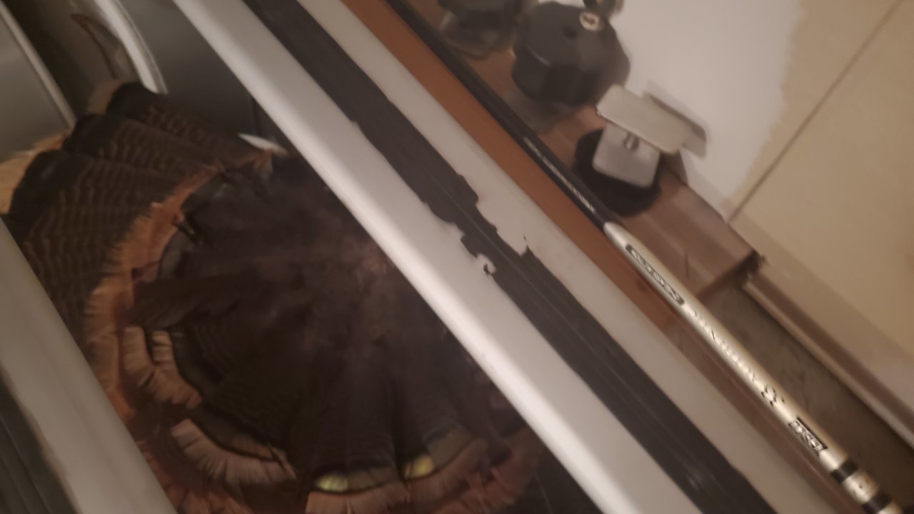 20210426_134507.jpg
