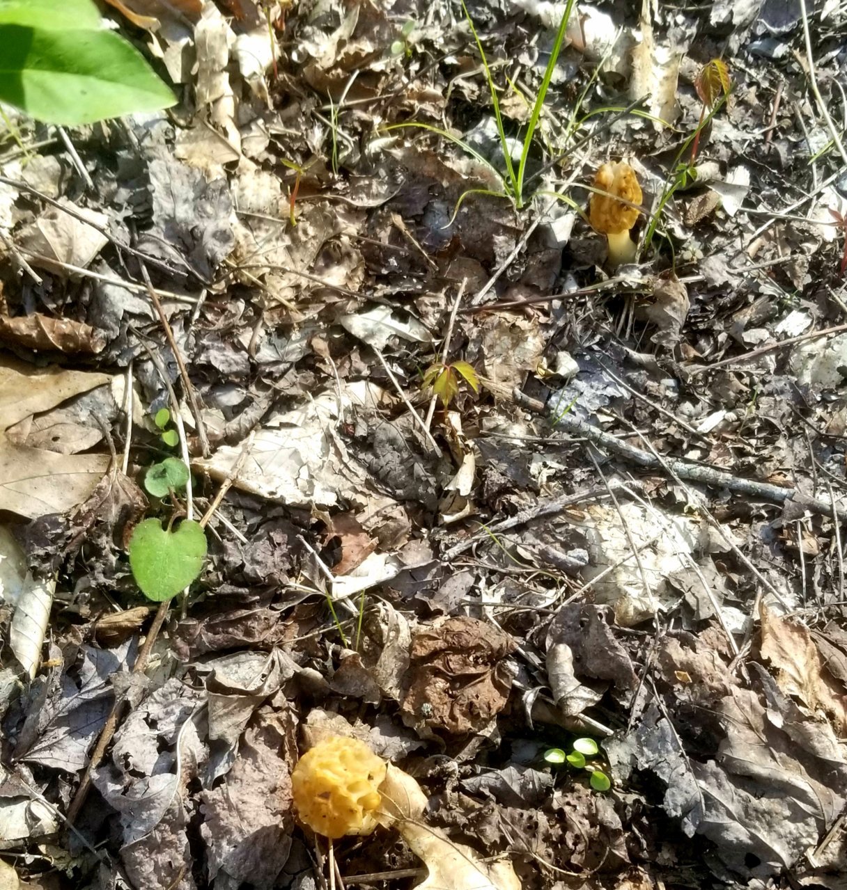 20210426_181449.jpg