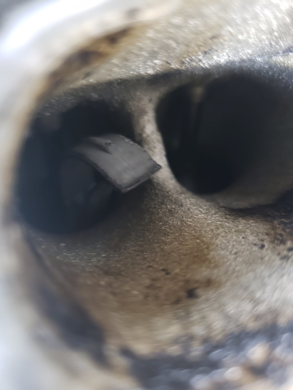 20210427_210617.jpg