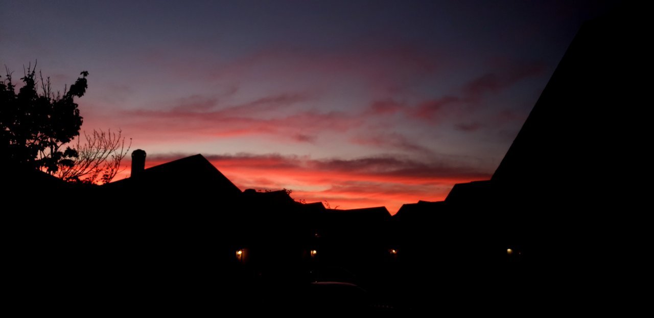 20210430_203713.jpg