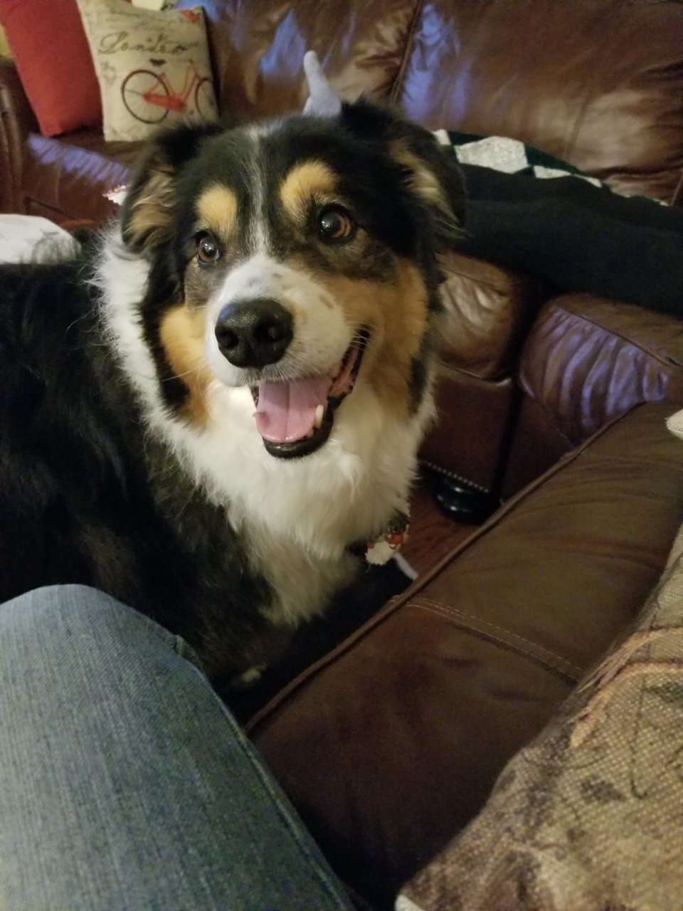 20210430_210739.jpg
