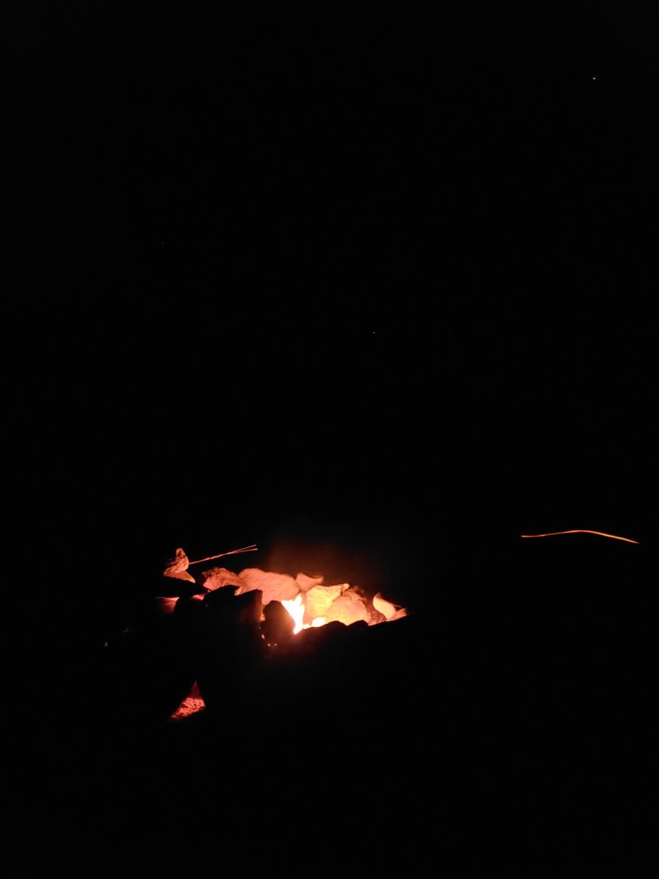 20210430_234104.jpg