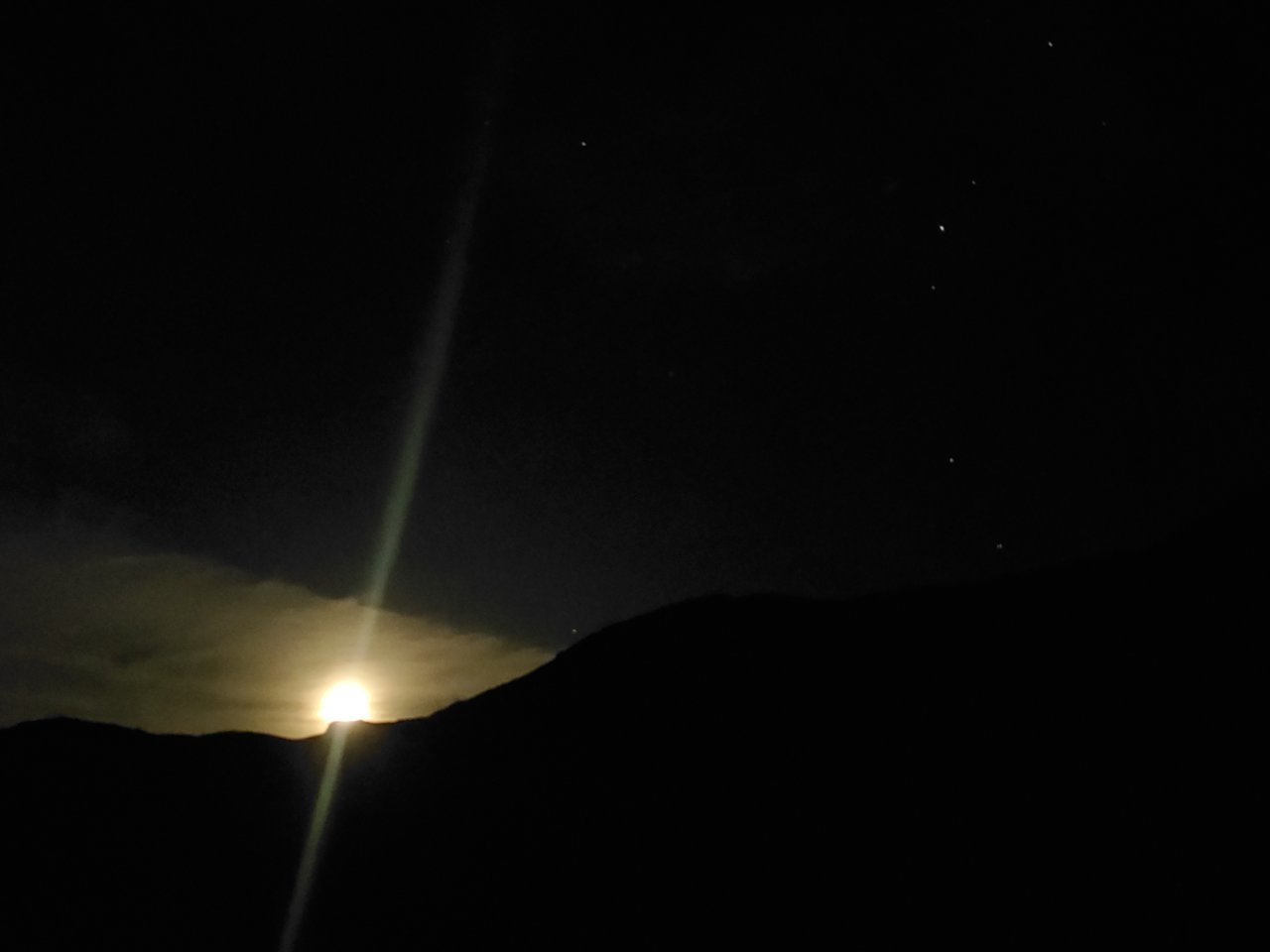 20210501_004311.jpg
