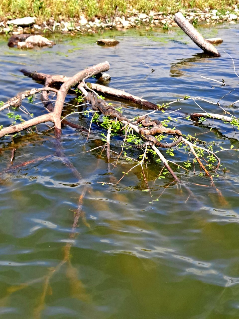 20210503_103416.jpg