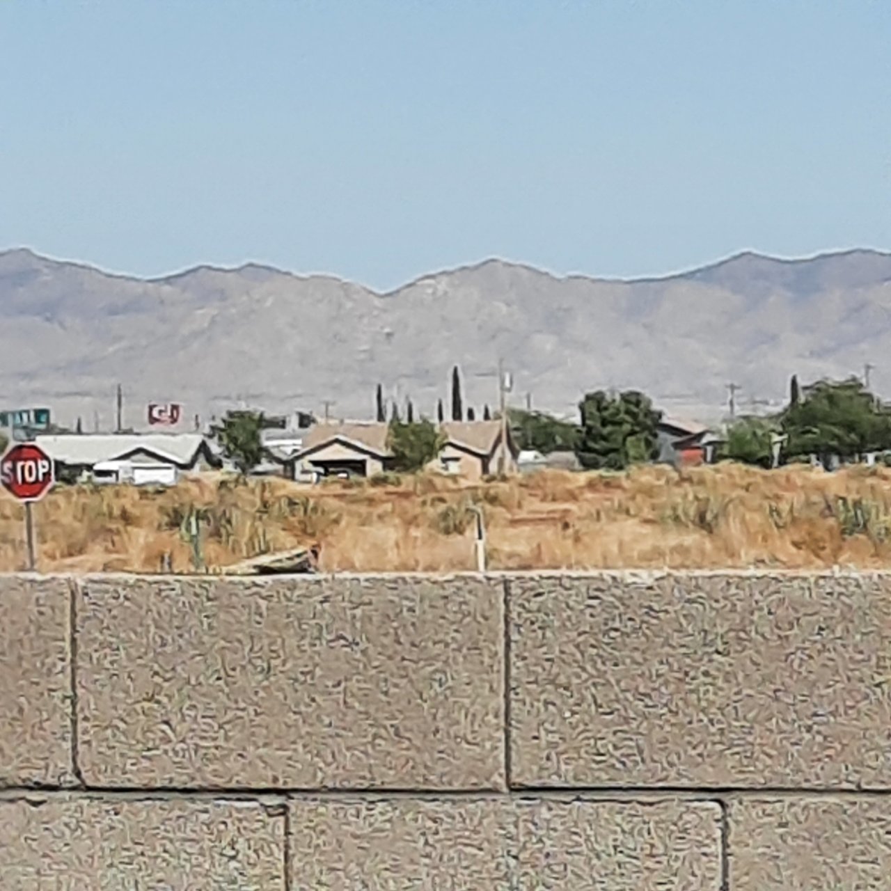 20210504_144159.jpg