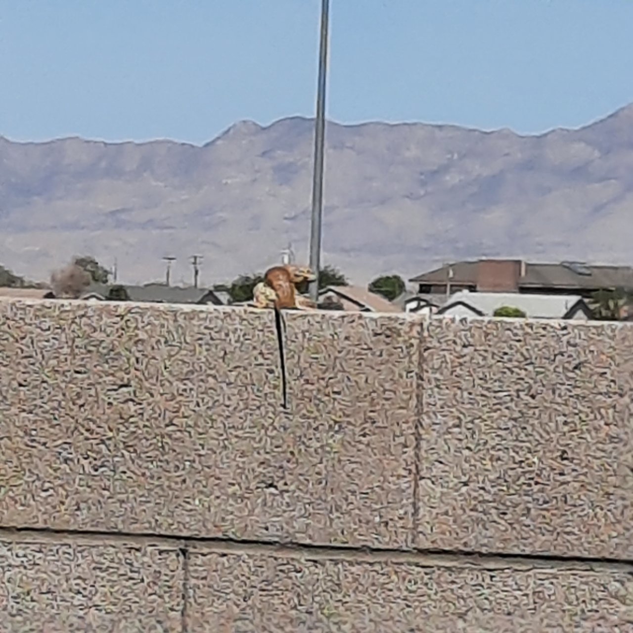 20210504_145104.jpg