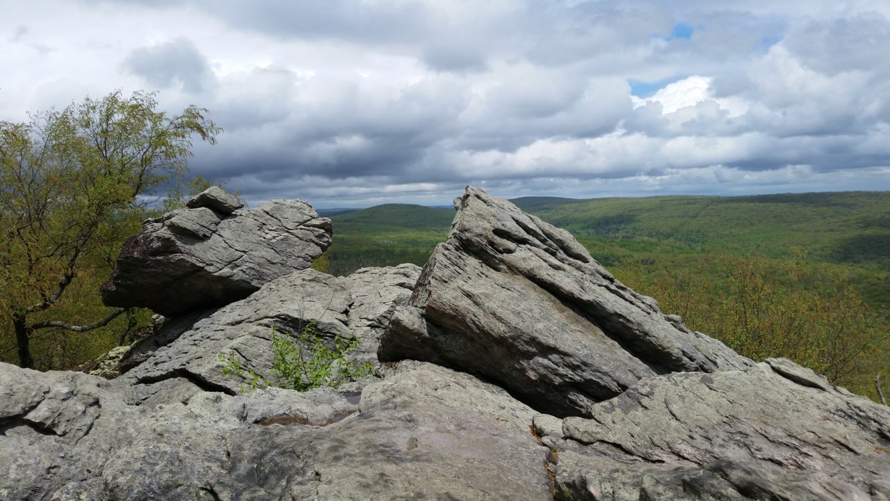 20210505_135941.jpg