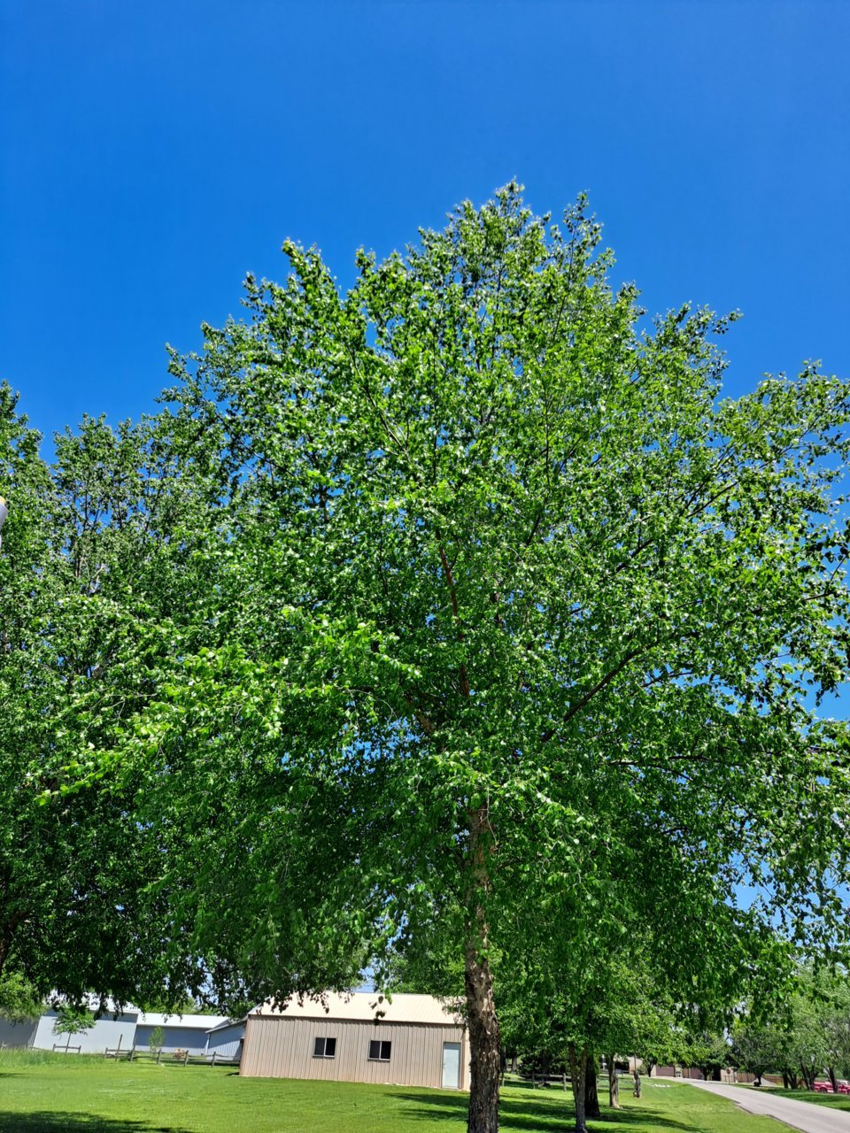 20210507_134149.jpg