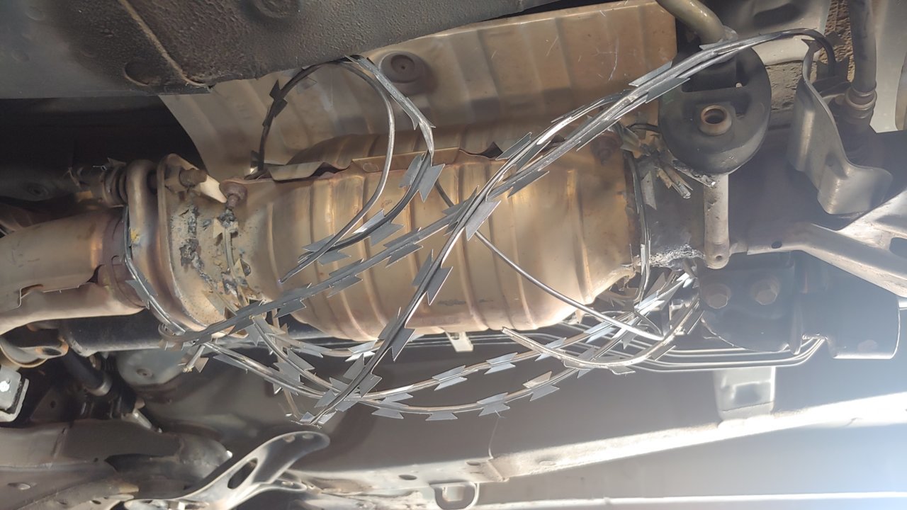 20210508_101136_HDR.jpg