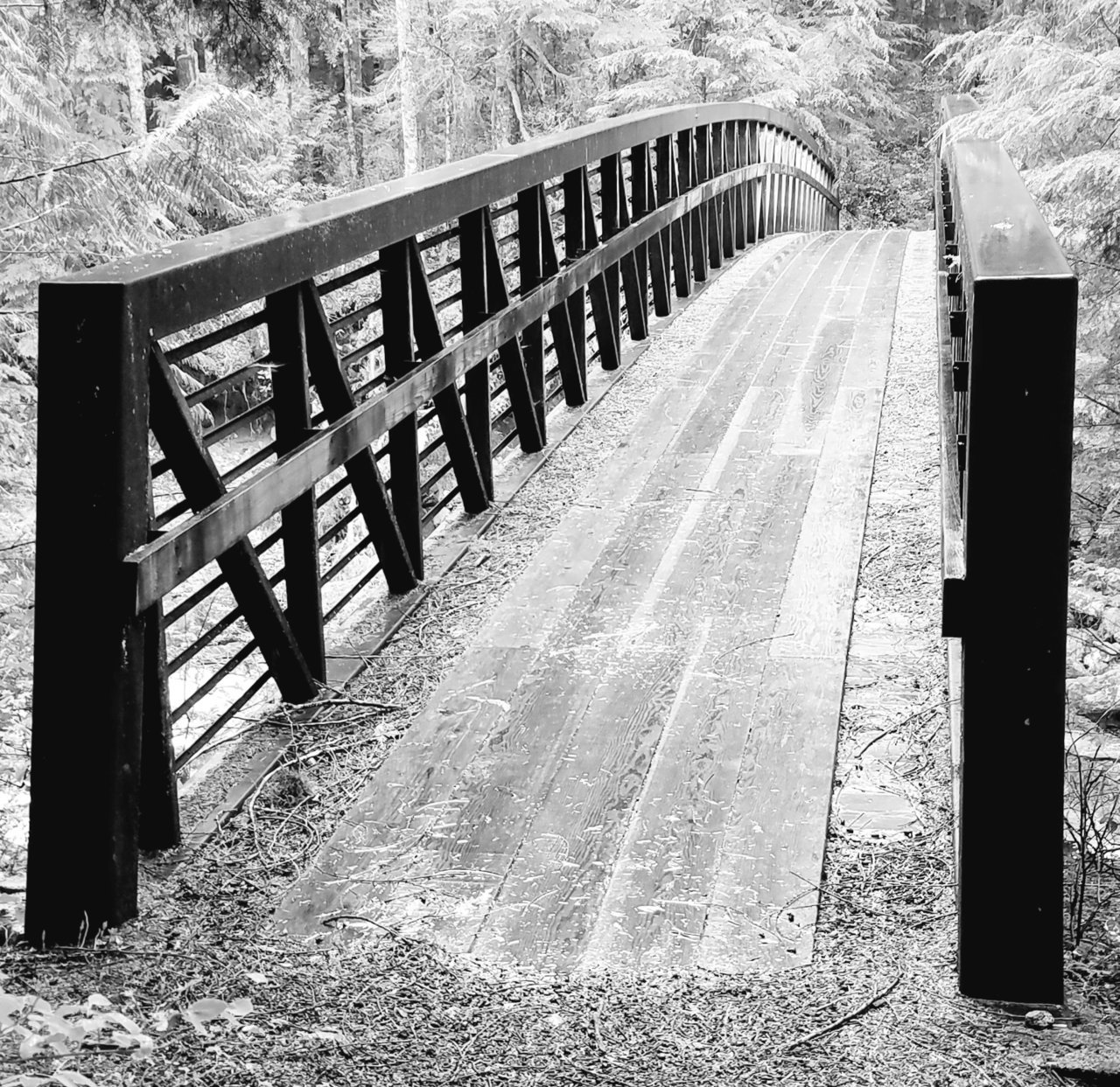 20210509_195447.jpg
