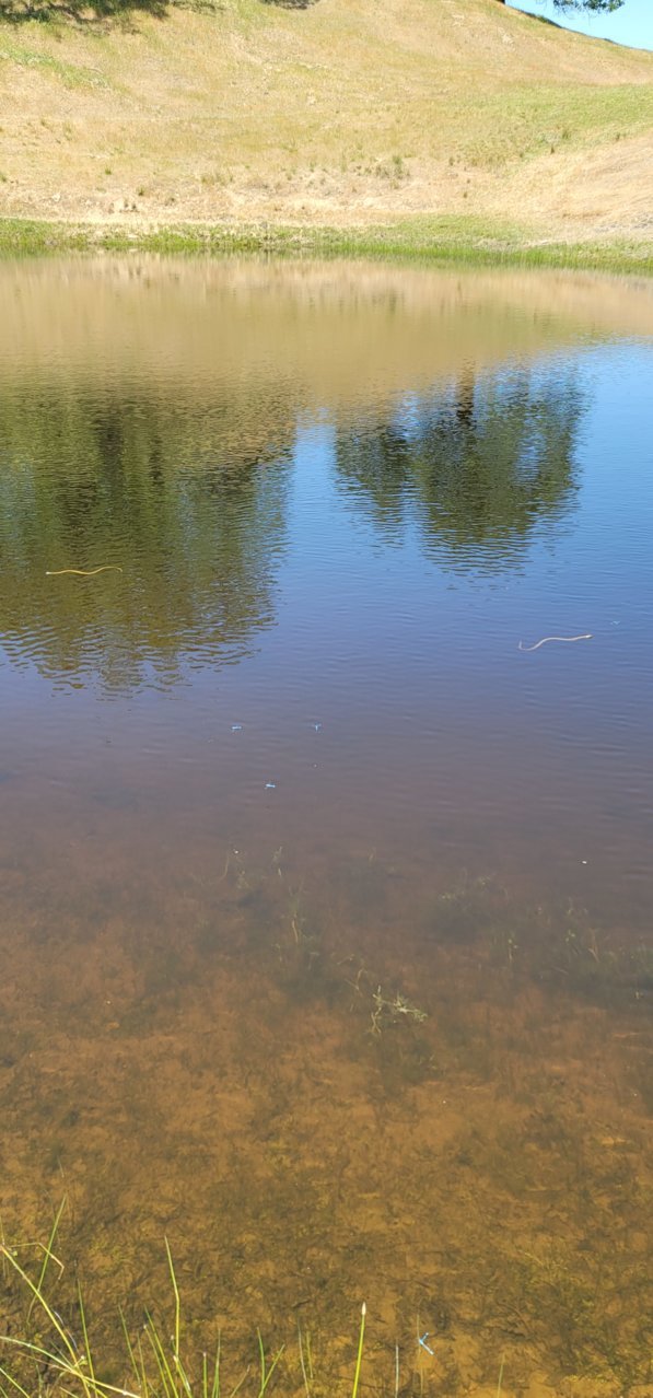 20210510_120837.jpg