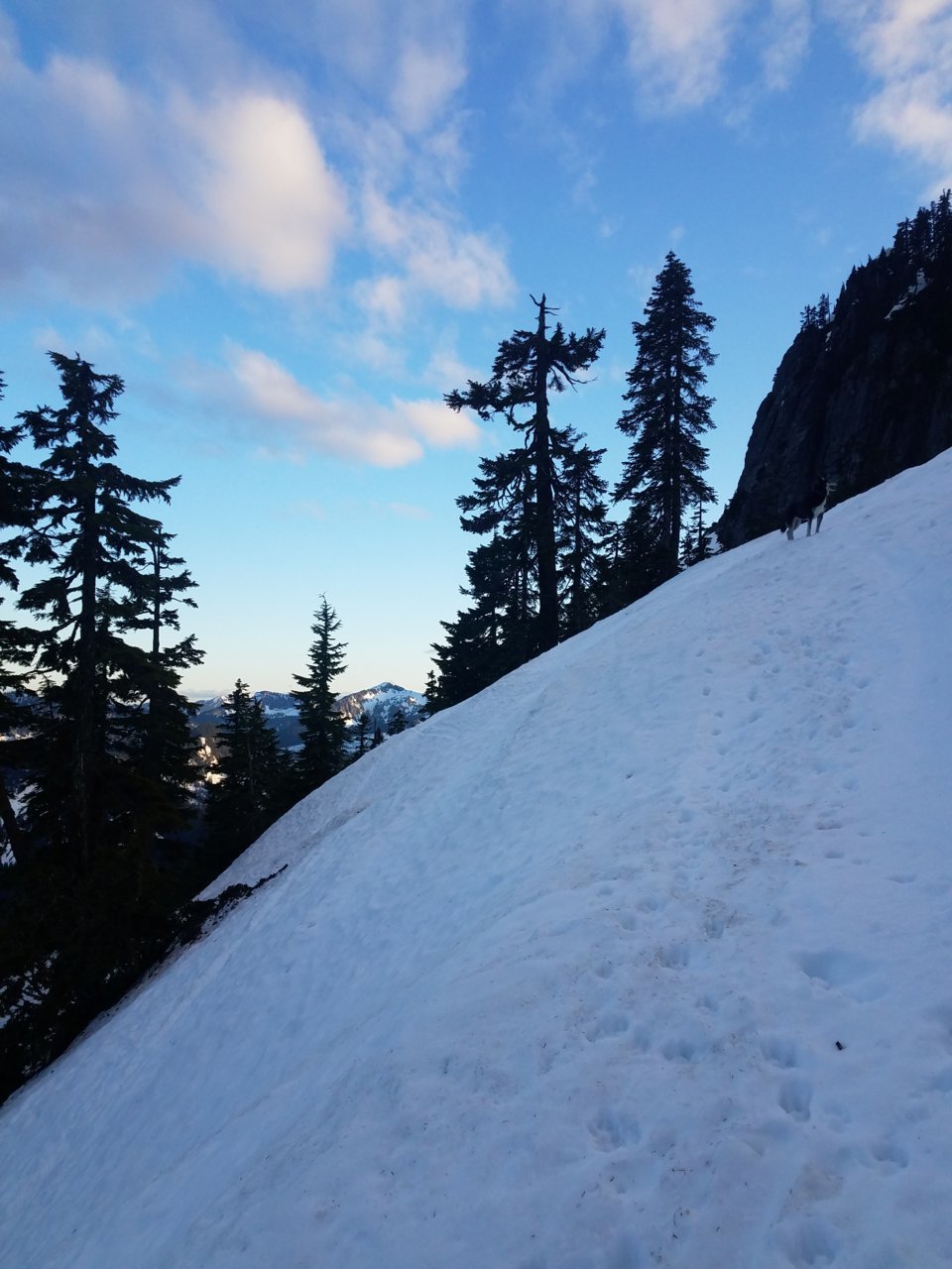 20210512_195709.jpg