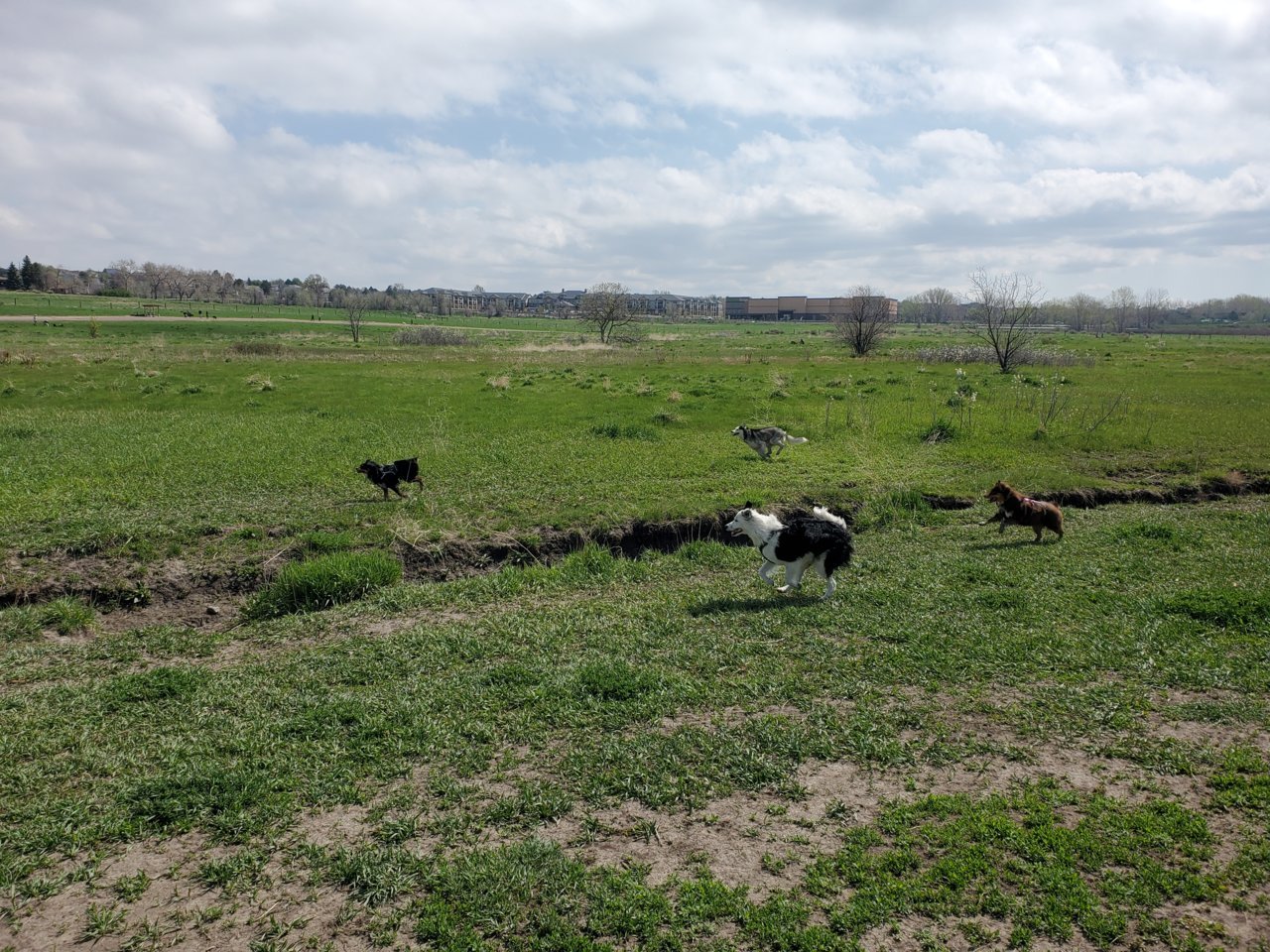 20210515_102558.jpg