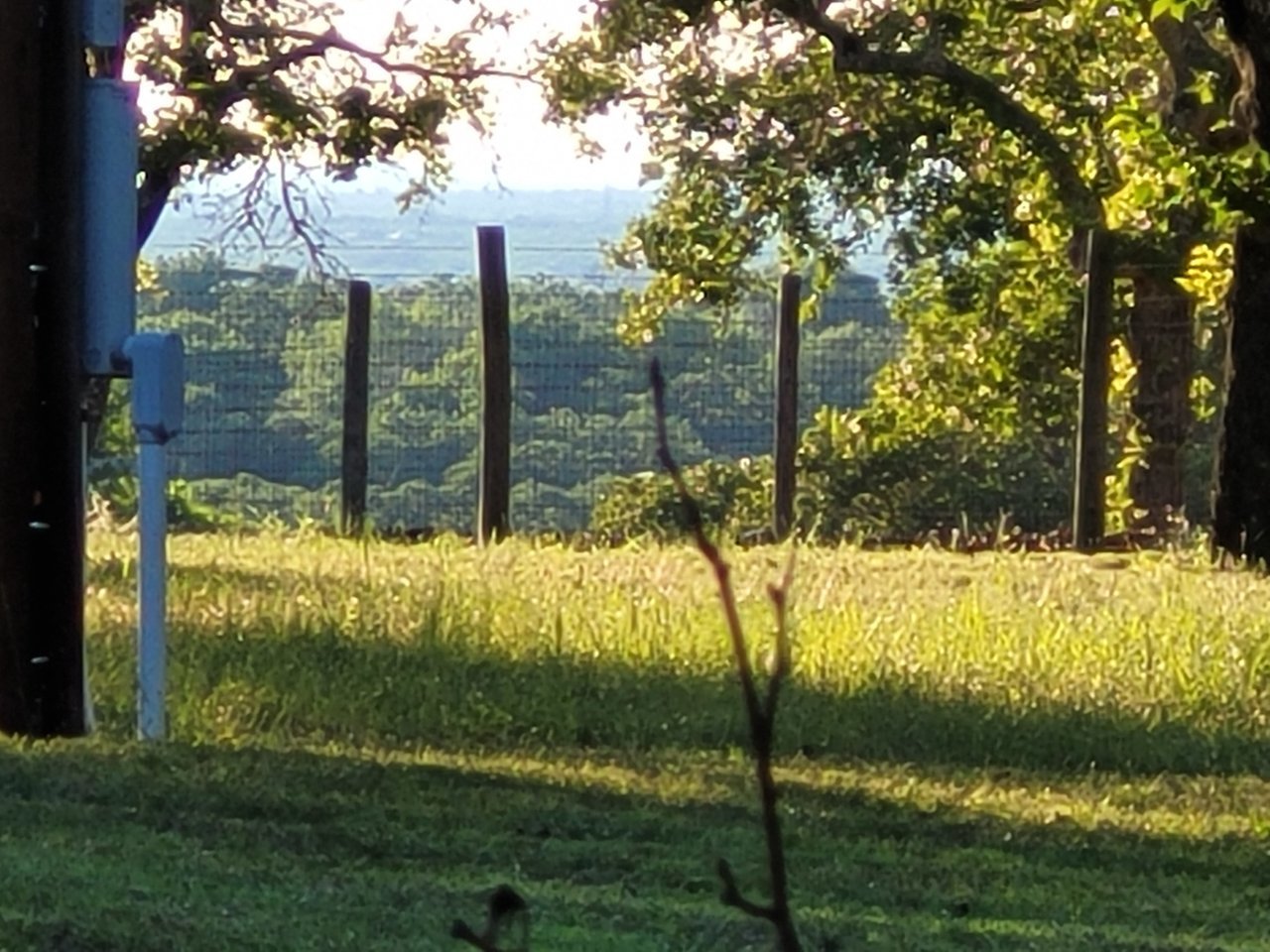 20210516_191950.jpg