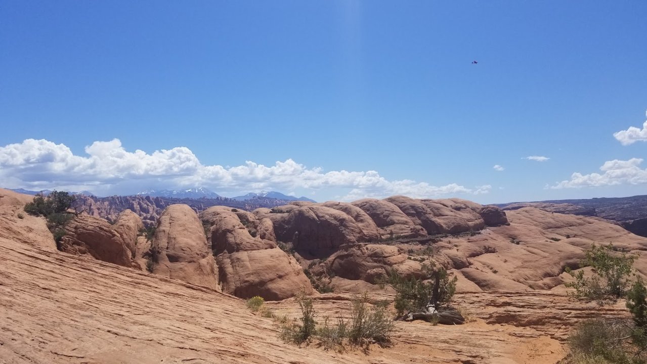 20210519_115350.jpg