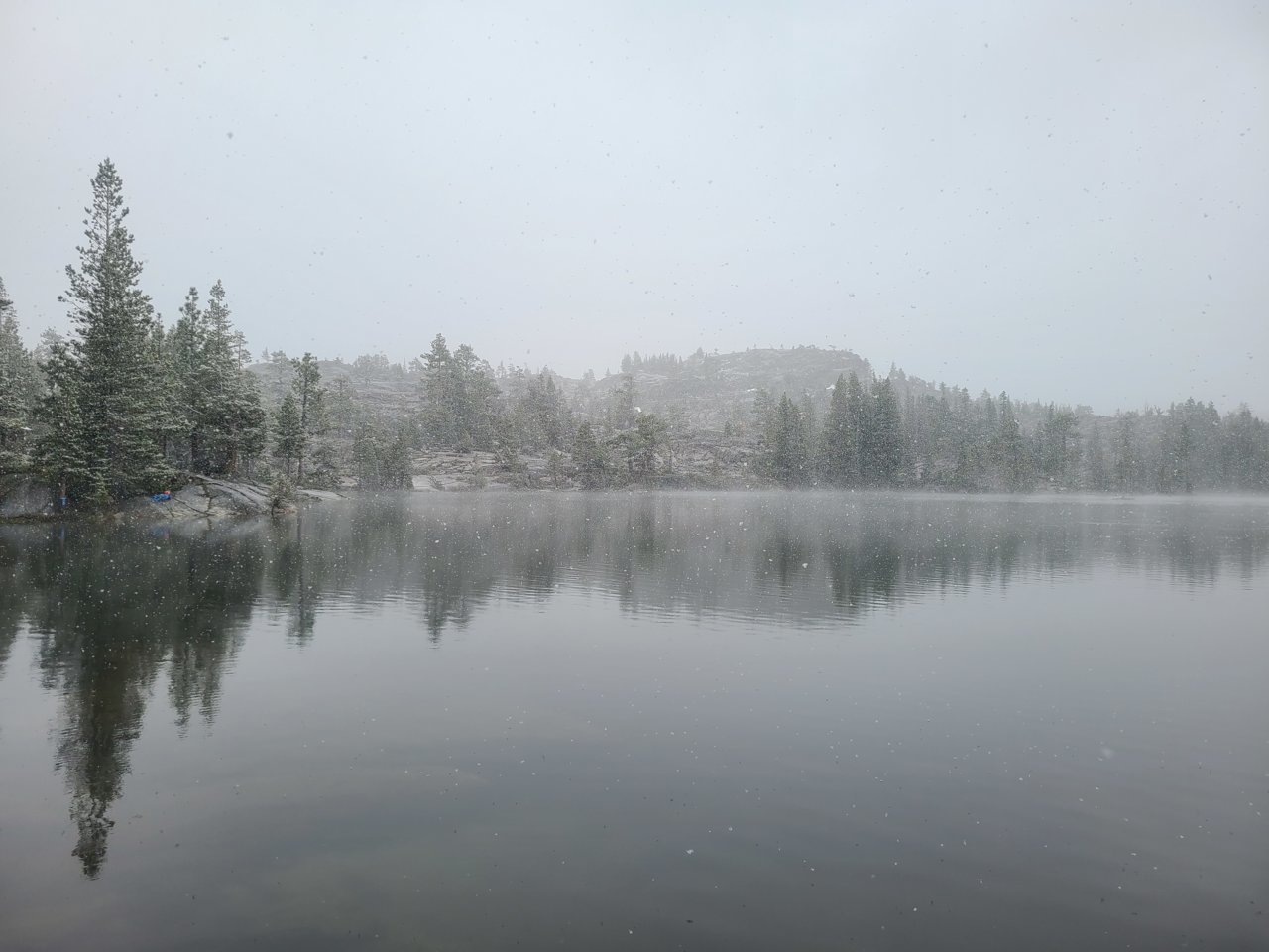 20210522_074943.jpg