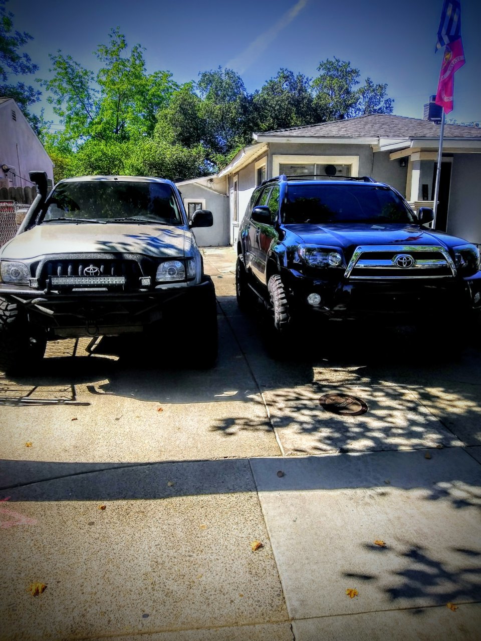 20210528_095450_HDR~2.jpg