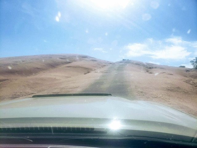 20210605_095707_Original.jpg