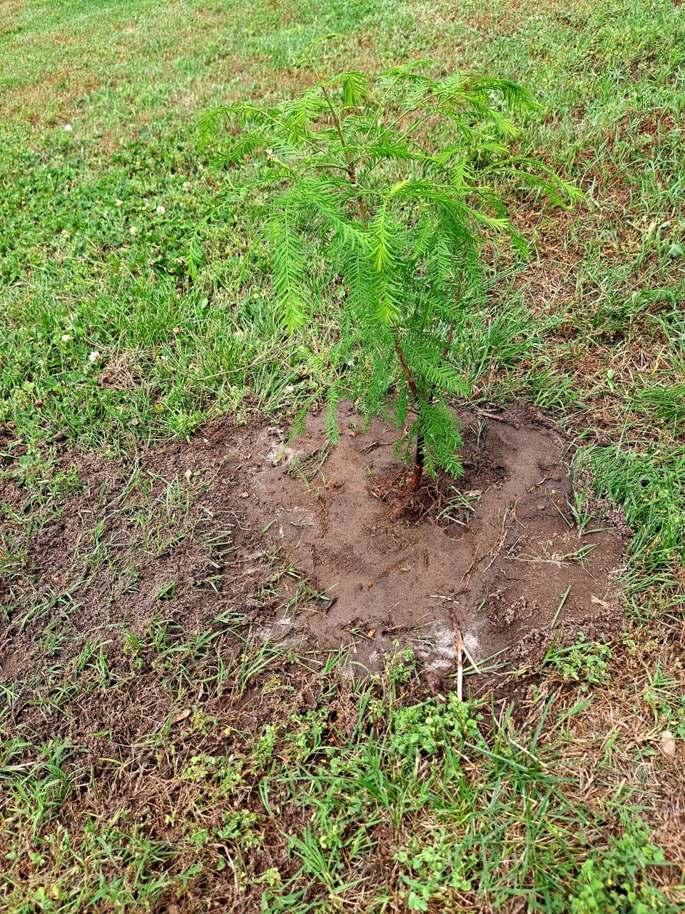 20210610_123543.jpg