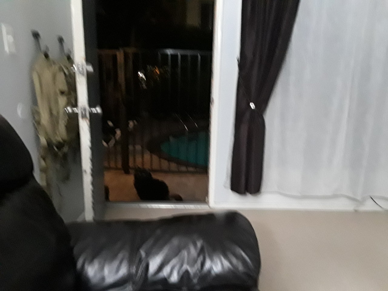 20210611_220908.jpg