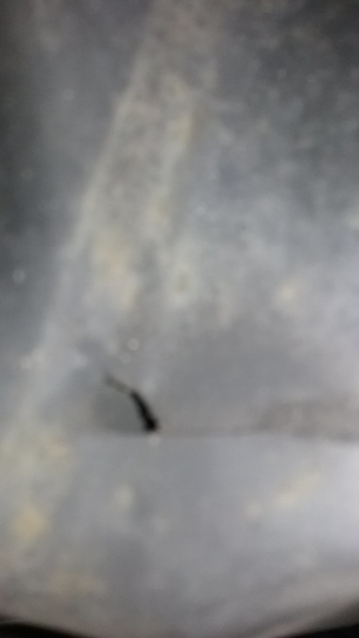 20210613_144151.jpg