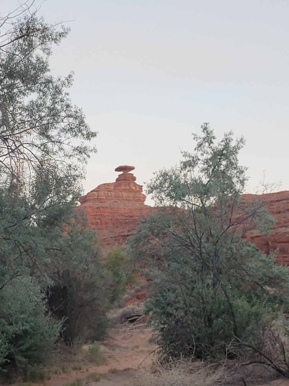 20210613_192706.jpg