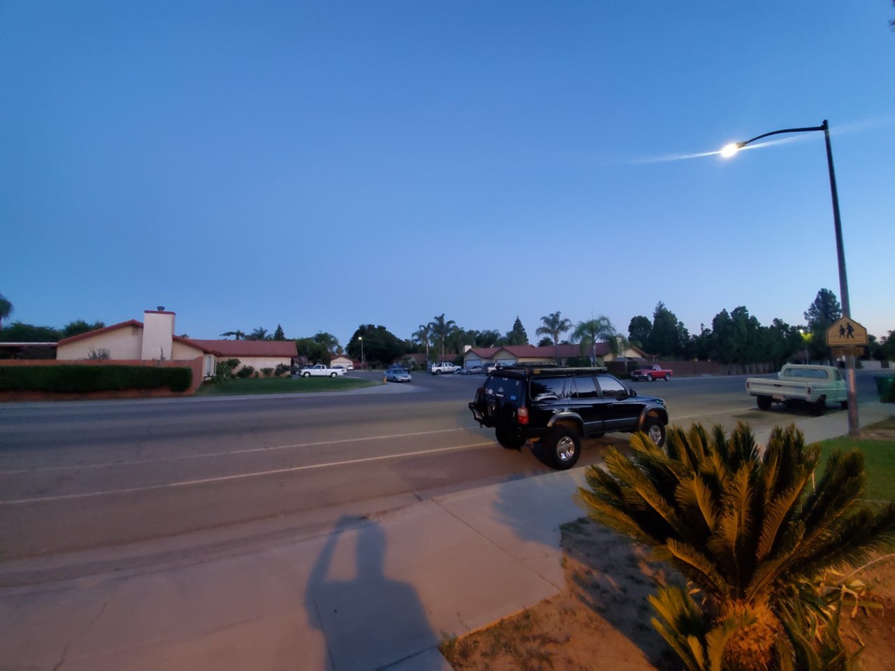 20210615_051529.jpg