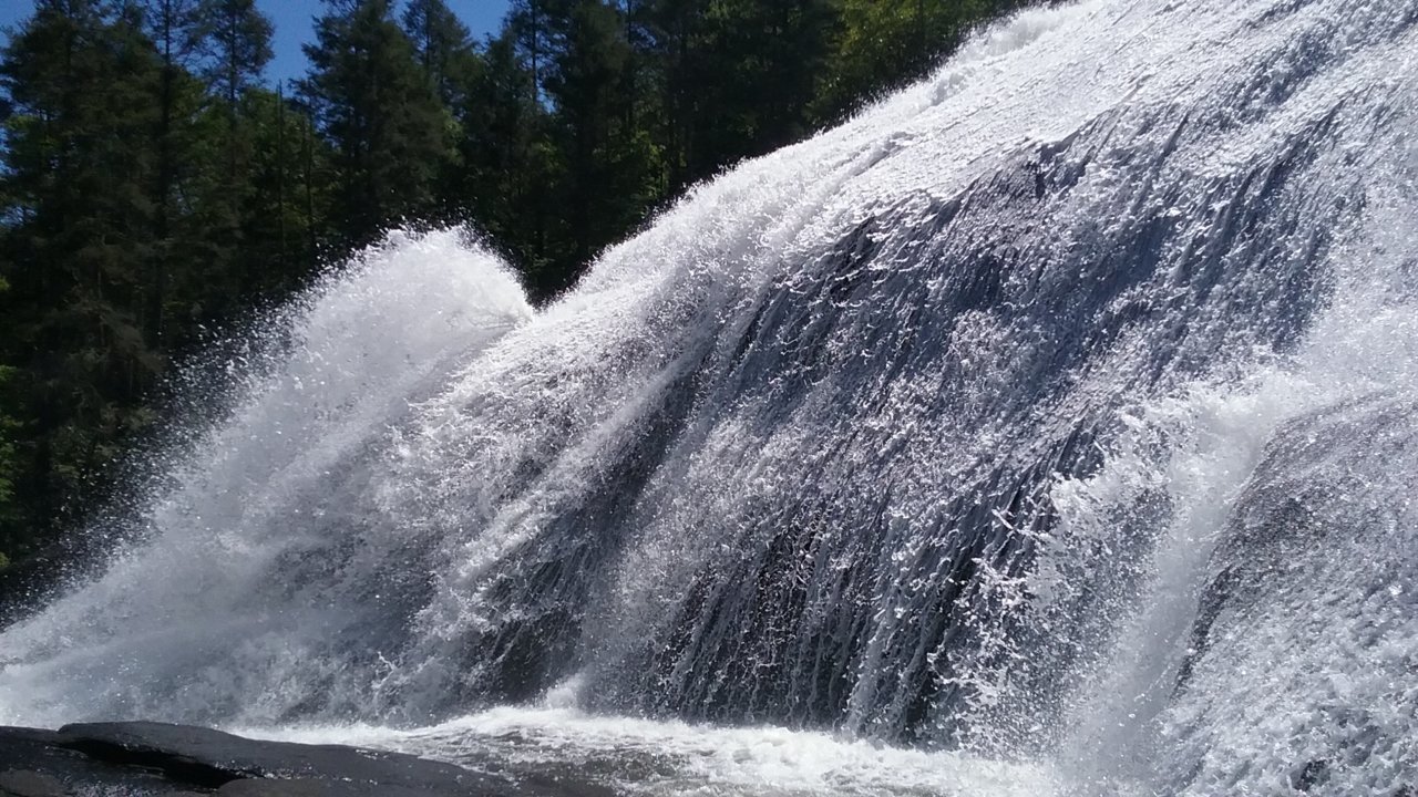 20210615_114417.jpg