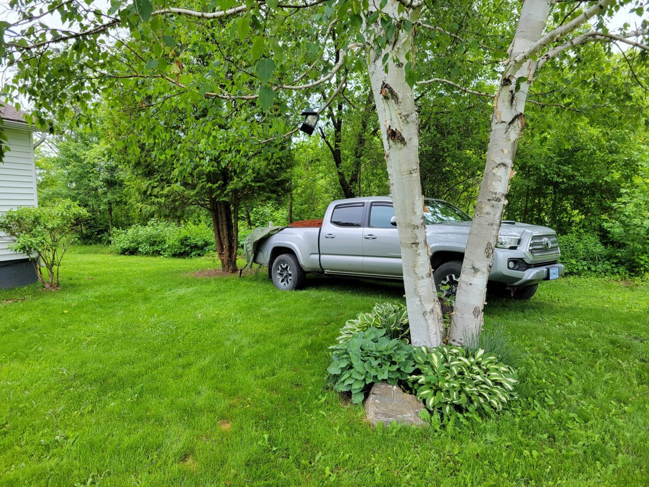 20210615_171236.jpg
