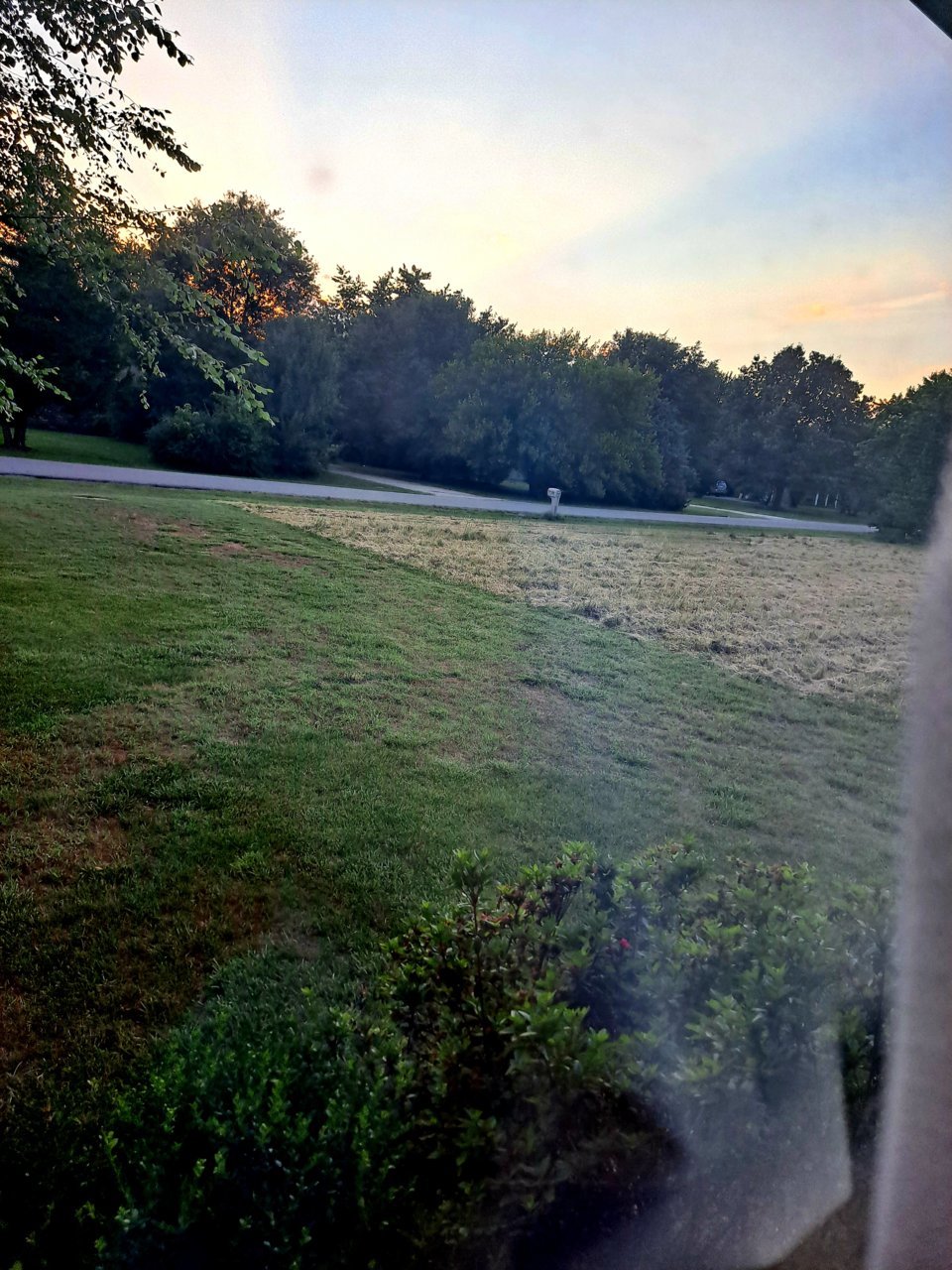 20210616_195945.jpg