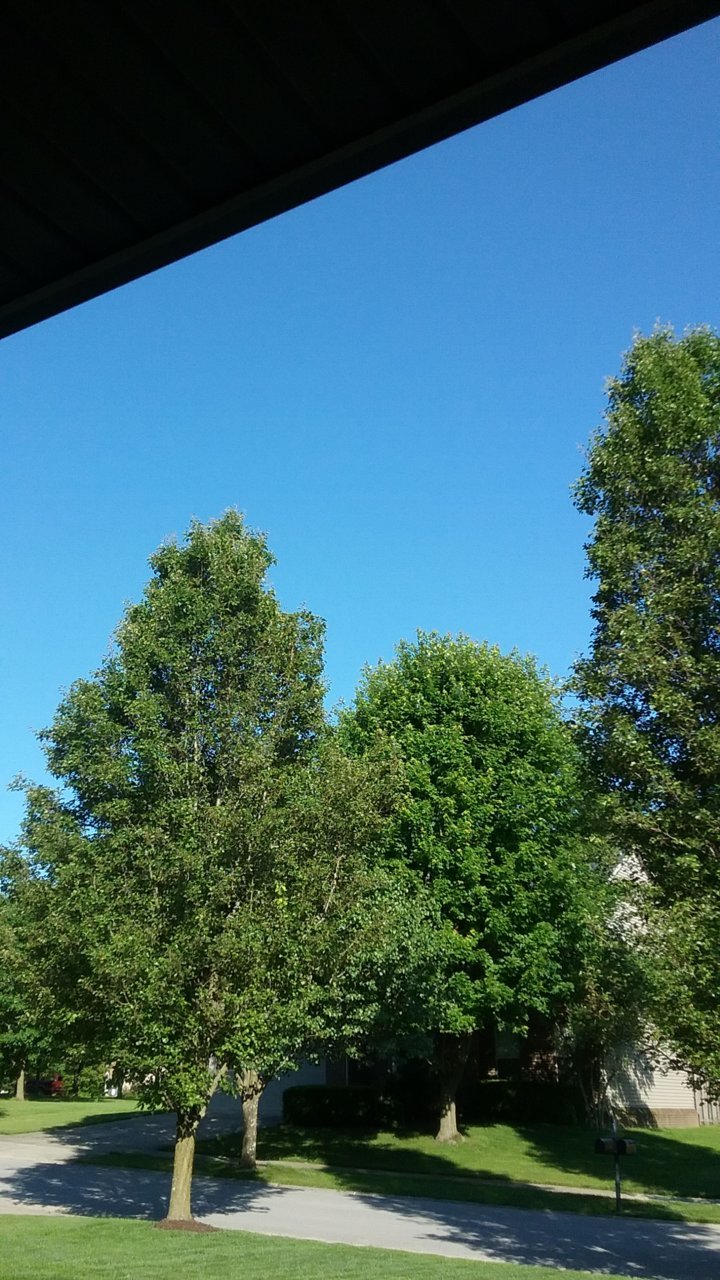 20210617_084337.jpg