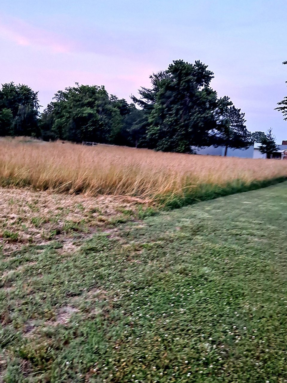 20210617_201948.jpg