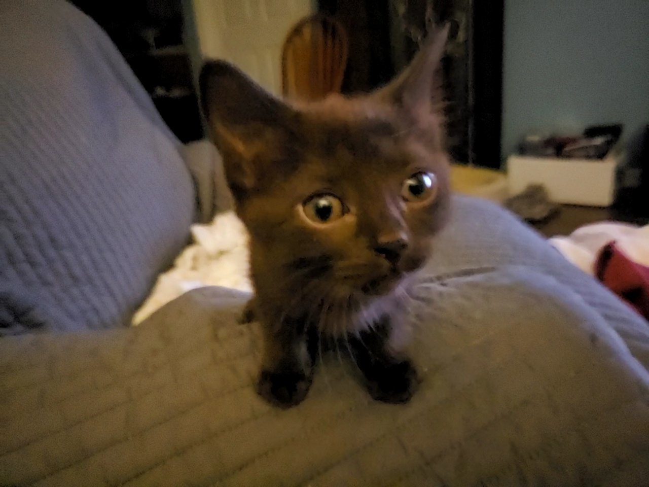 20210618_220510_capture.jpg