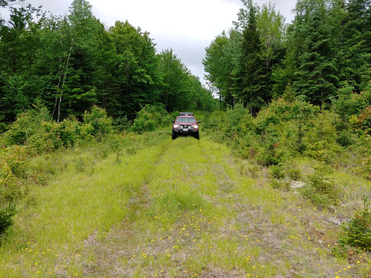 20210619_100111_HDR.jpg