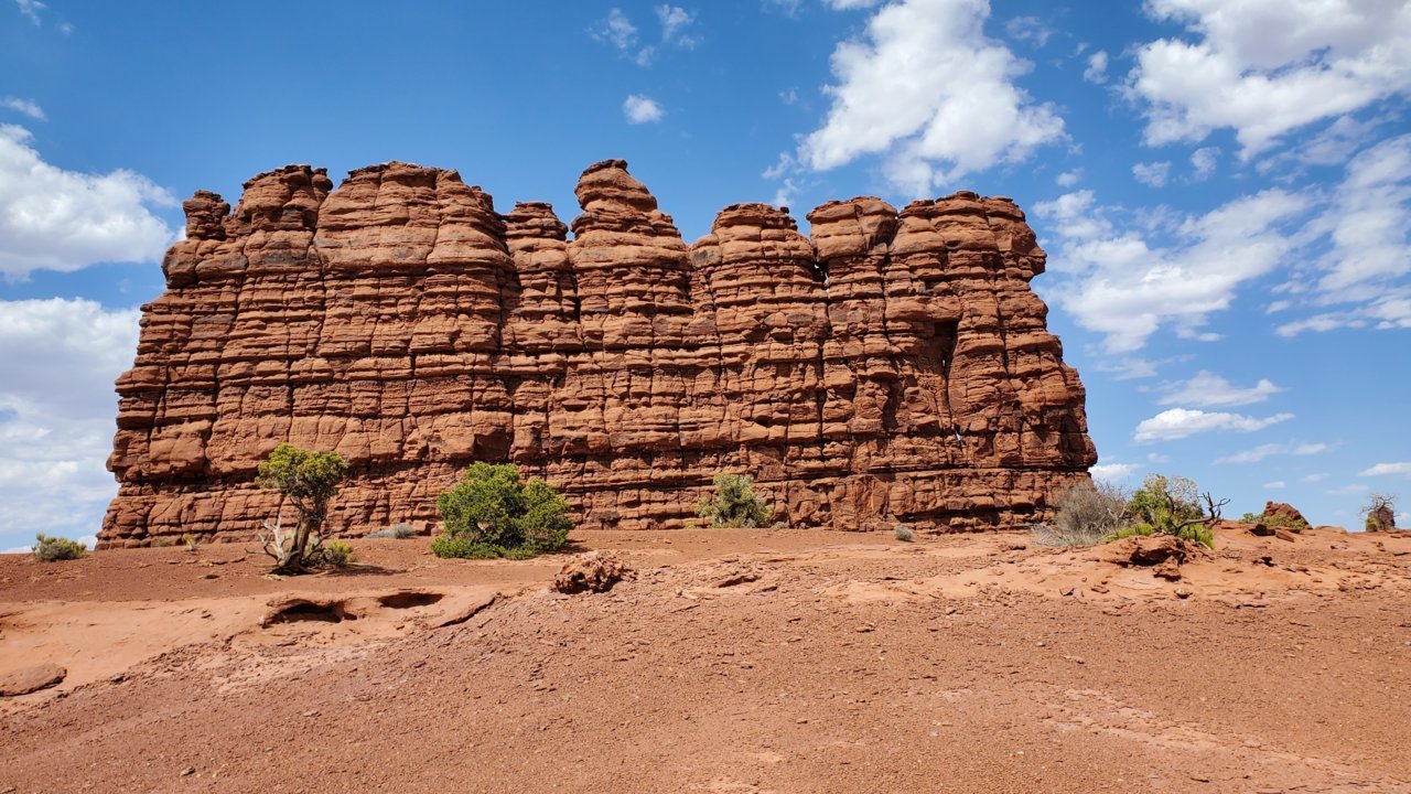 20210620_155558.jpg