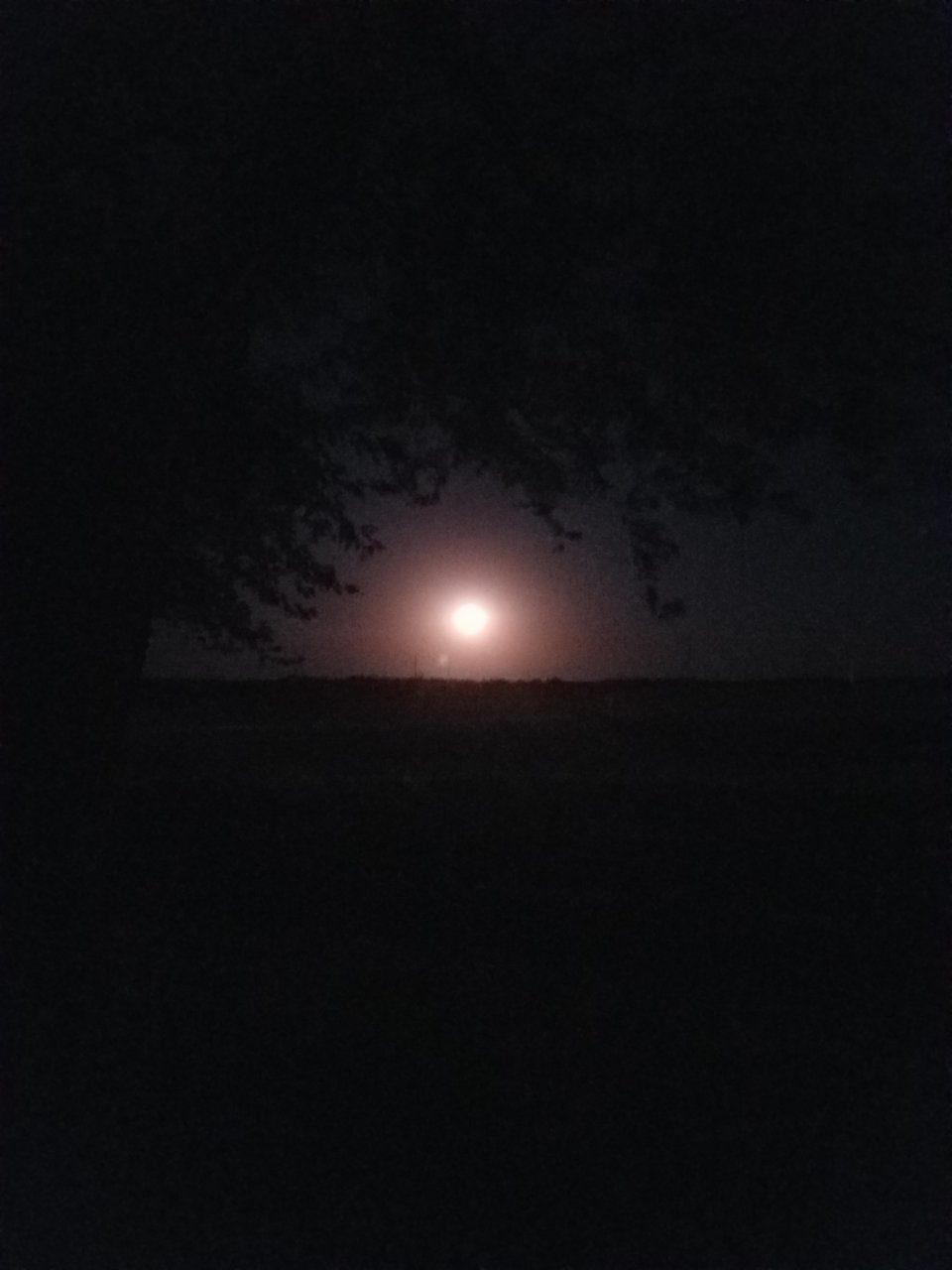 20210623_040423.jpg