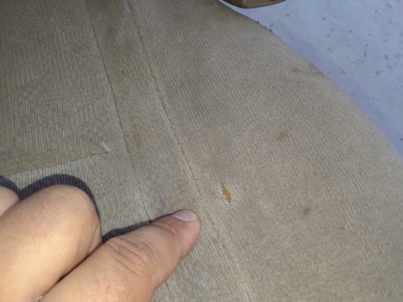 20210623_134014.jpg