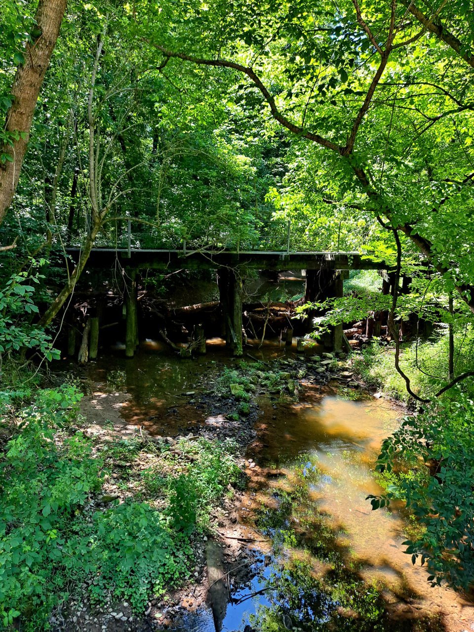 20210623_145713.jpg