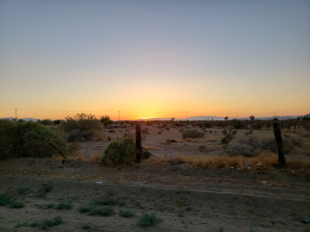 20210623_200655.jpg
