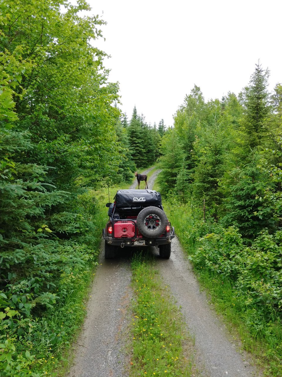 20210626_111953_HDR.jpg