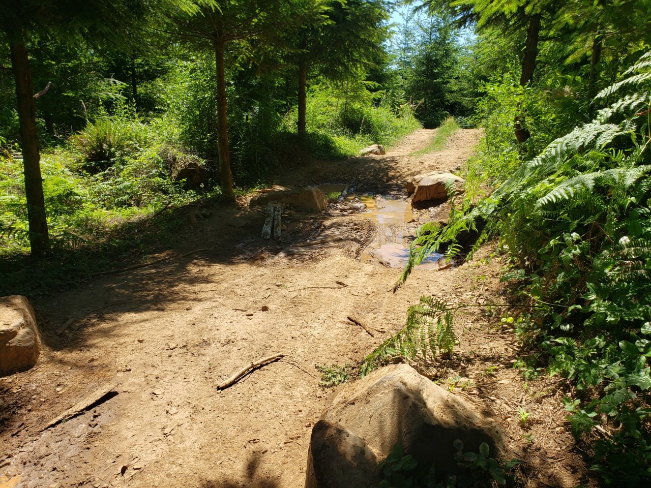 20210626_124418.jpg
