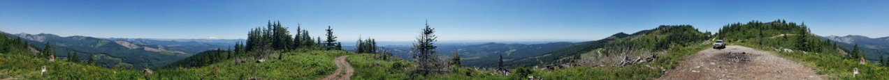 20210626_135949.jpg