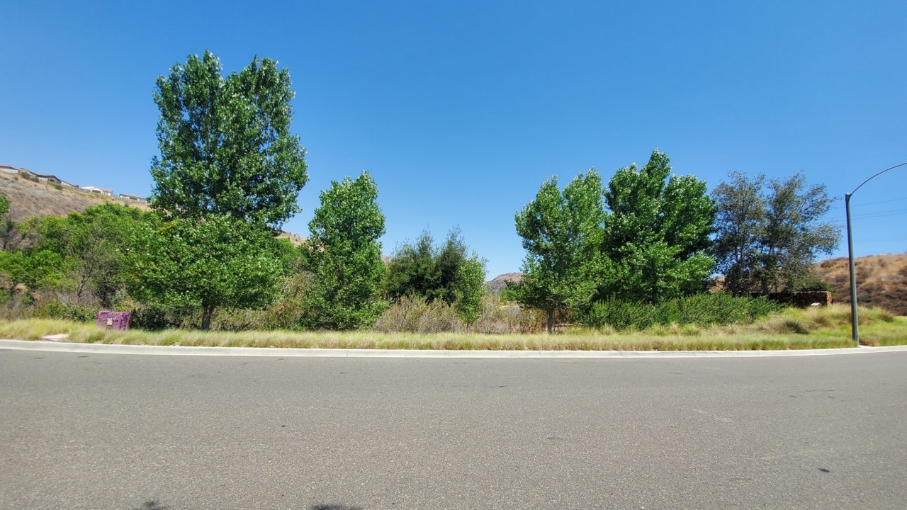 20210626_143526.jpg