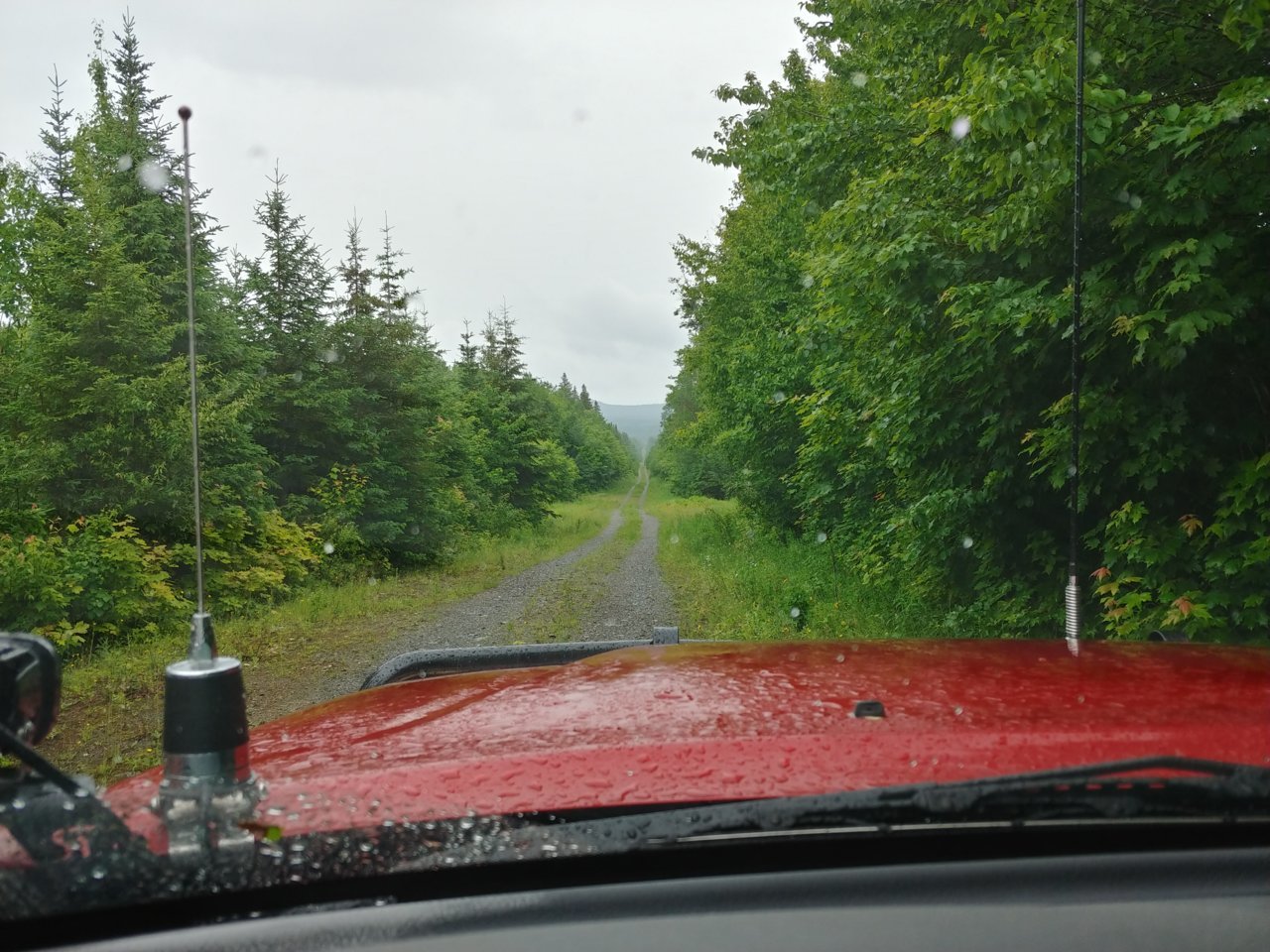 20210626_143641_HDR.jpg