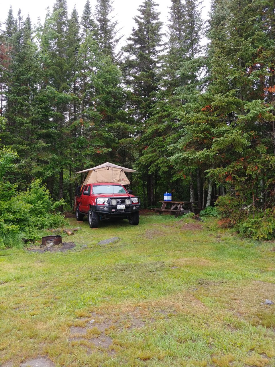 20210626_175046.jpg
