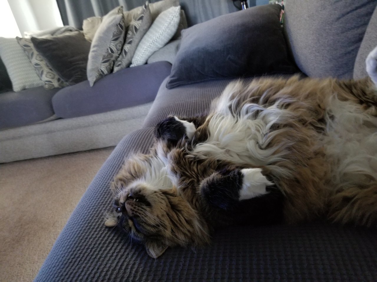 20210626_185926.jpg