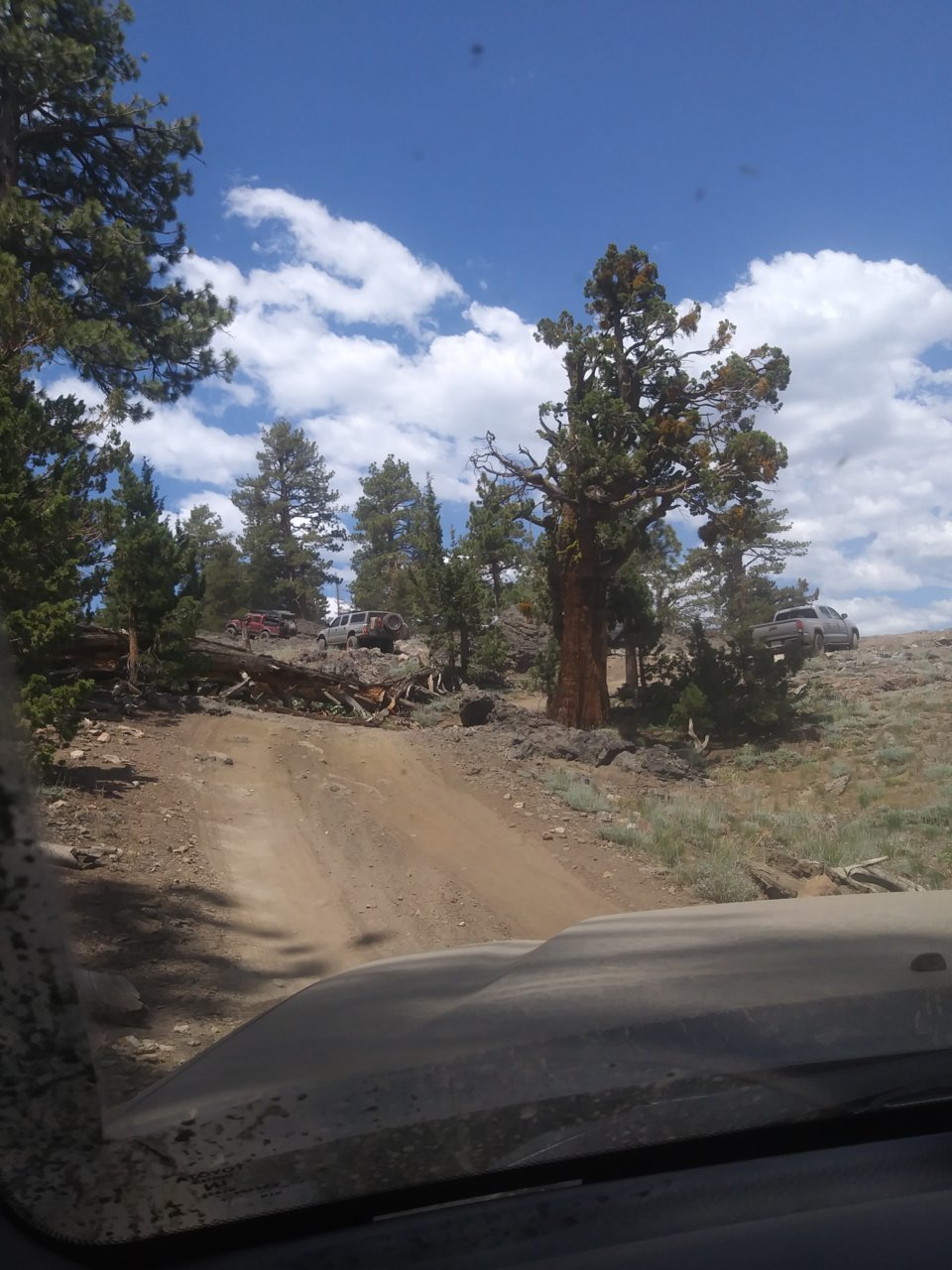 20210627_140551.jpg