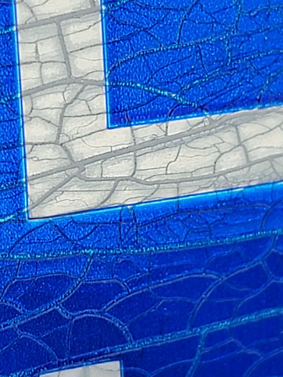 20210628_100830.jpg