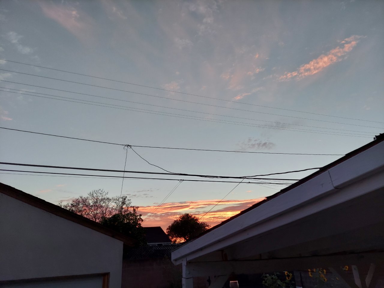 20210702_201359.jpg