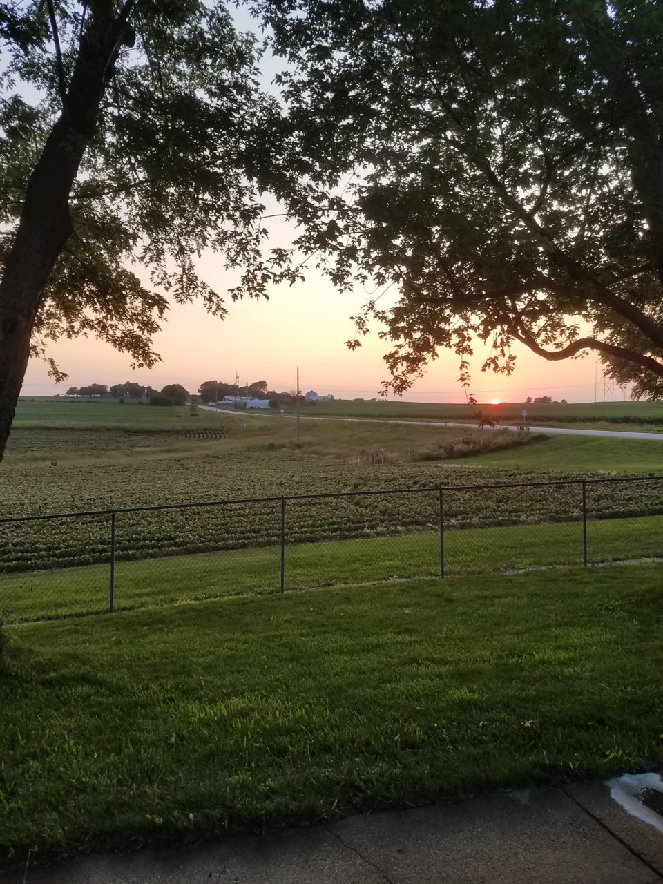 20210702_205003.jpg